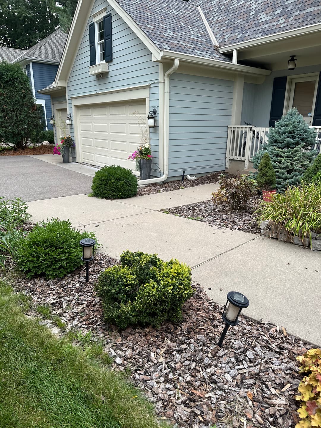 Front yard of a blue house with manicured shrubs, pathway, and decorative landscape lighting.