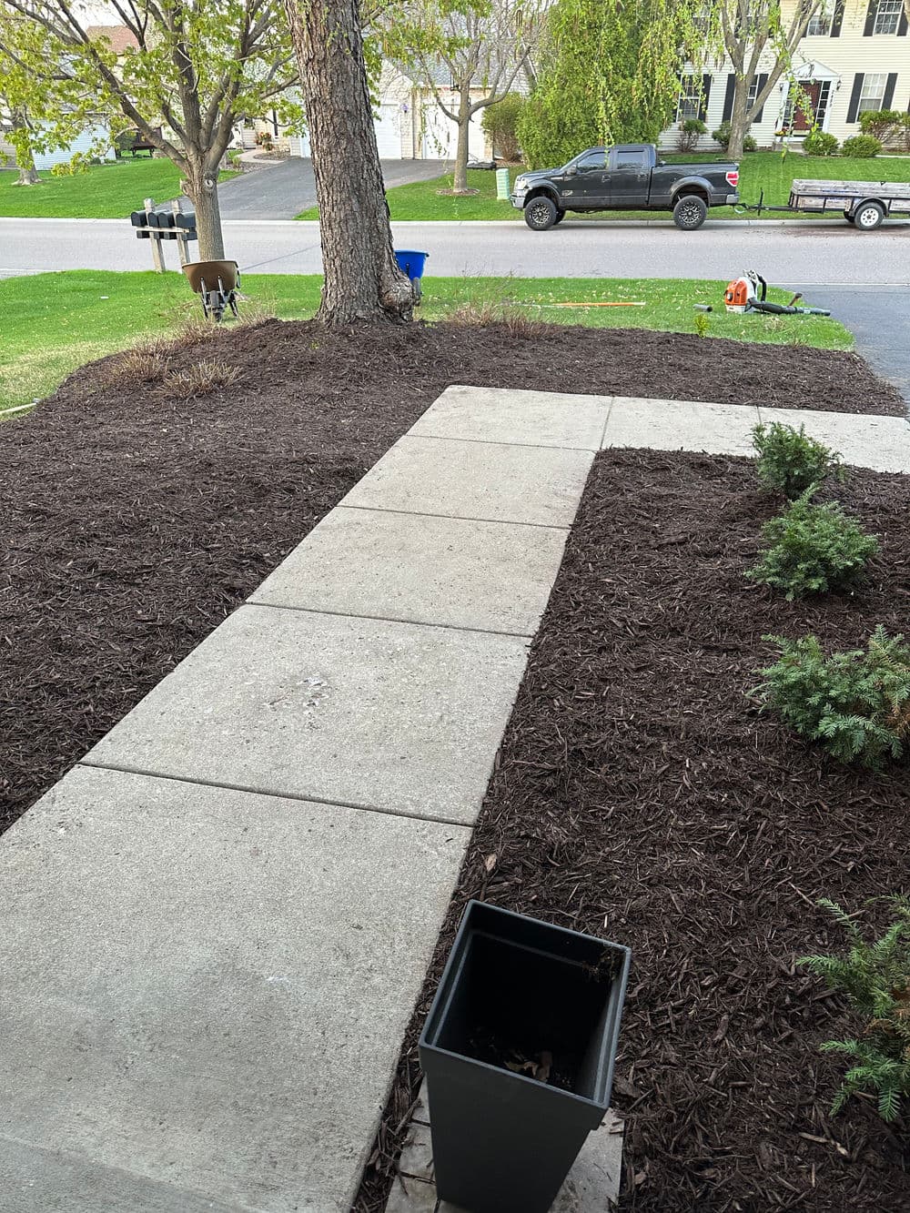Concrete walkway leading to a well-maintained yard with mulch and trees, street view in background.