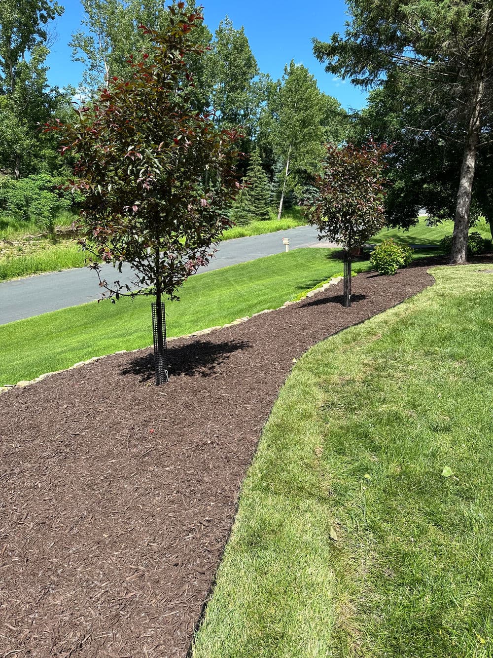 Steiner Landscaping