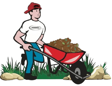 Steiner Landscaping